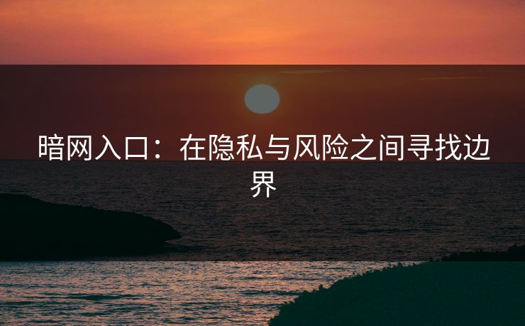 暗网入口：在隐私与风险之间寻找边界