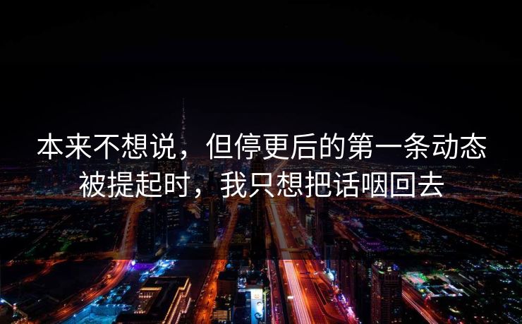 本来不想说，但停更后的第一条动态被提起时，我只想把话咽回去